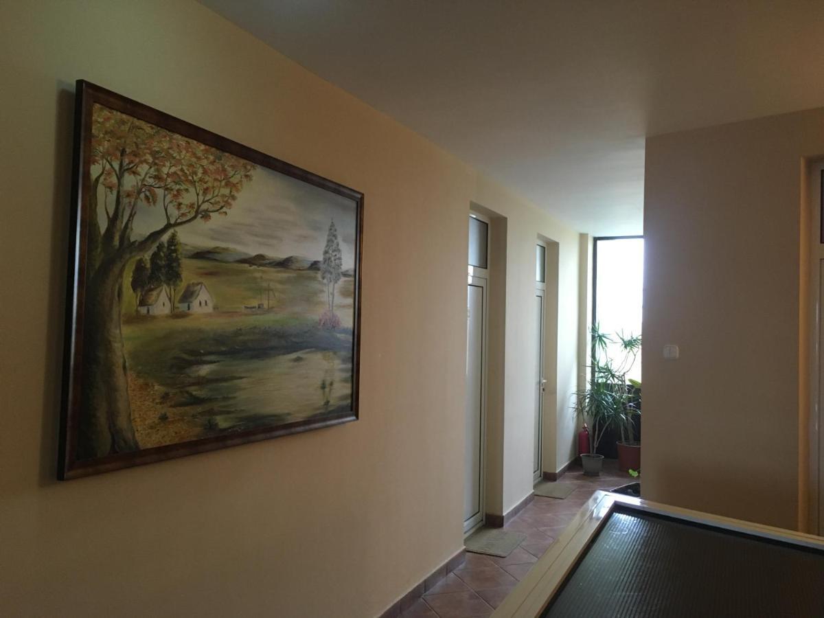 Pensiunea Brigi 萨图马雷 外观 照片