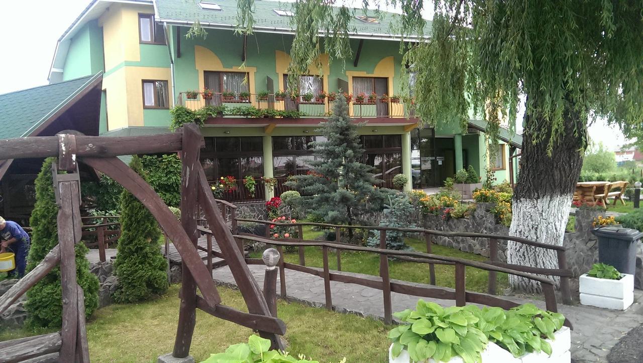 Pensiunea Brigi 萨图马雷 外观 照片
